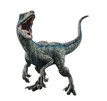 Velociraptor